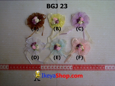 BGJ 23  large2